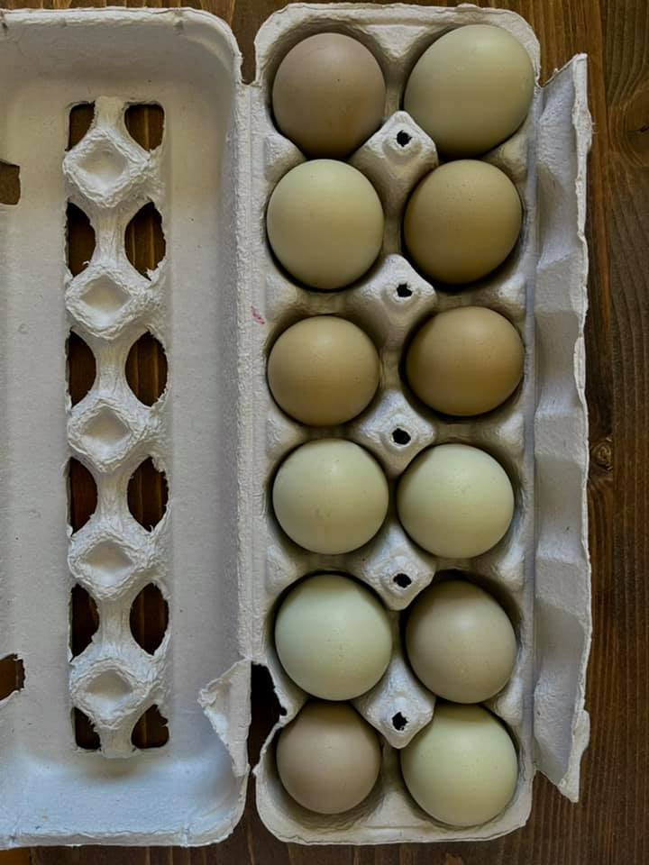 Green Eggers - Local Pickup